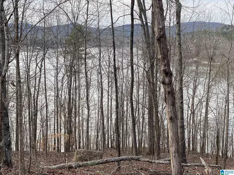 mohawk cliff road, Ohatchee, AL 36271 photo 7