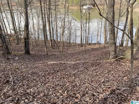 mohawk cliff road, Ohatchee, AL 36271 photo 4