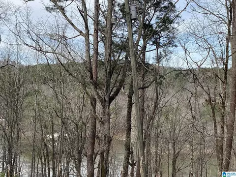 mohawk cliff road, Ohatchee, AL 36271 photo 13