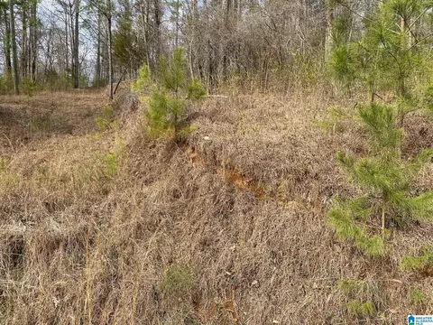 mohawk cliff road, Ohatchee, AL 36271 photo 10