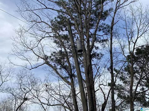 mohawk cliff road, Ohatchee, AL 36271 photo 12