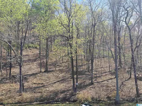 lot17 Eagle Point Trce #17, Rockford, AL 35136