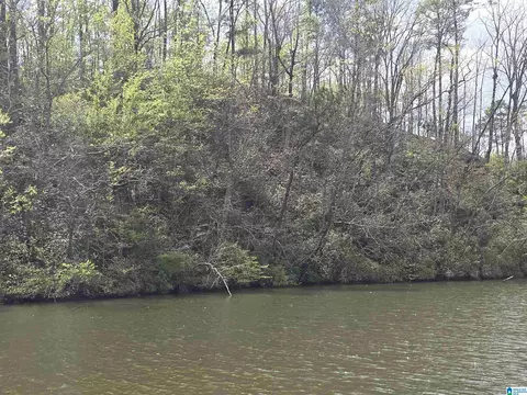lot6 Eagle Mountain Rd #6, Rockford, AL 35136