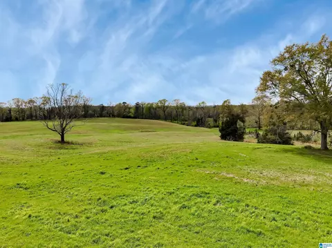0 County Road 28 #1, Clanton, AL 35045