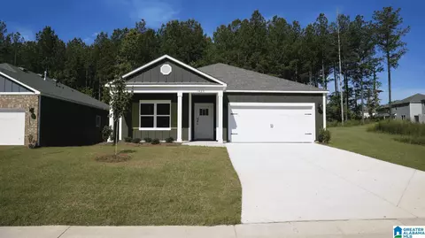 1423 Chelsea Park Trl, Chelsea, AL 35043