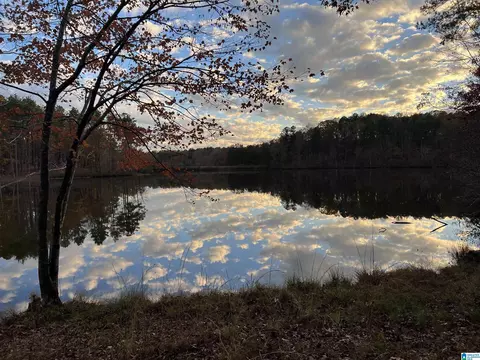 0 Deer Run Rd #0, Alabaster, AL 35007