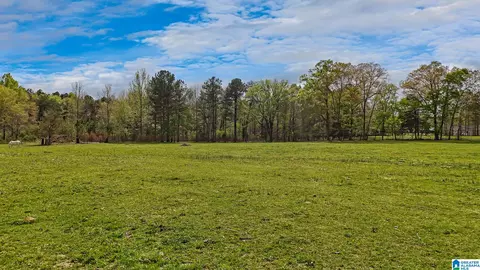 3237 Mud Creek Rd, Adger, AL 35006