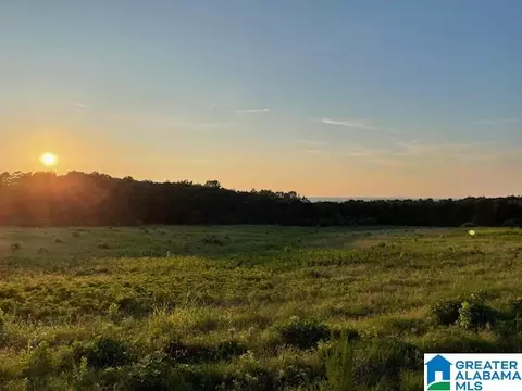 0 Jones Chapel Loop Rd #1, Springville, AL 35146