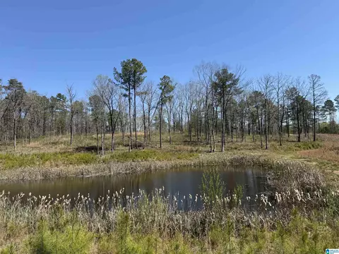 0 County Road 51 #1, Westover, AL 35186