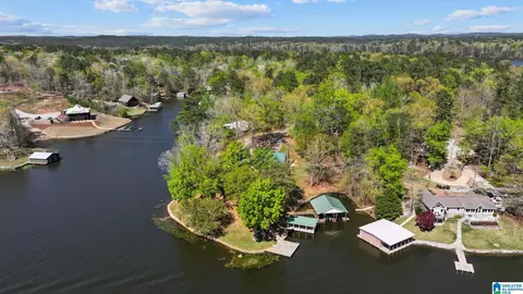 View/Area - 11550 County Road 28, Clanton, AL 35046 photo 3 of 4