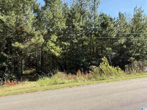 155 Parkwood Way #100, Odenville, AL 35120