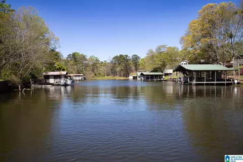 View/Area - 174 County Road 741, Clanton, AL 35046 photo 6 of 6
