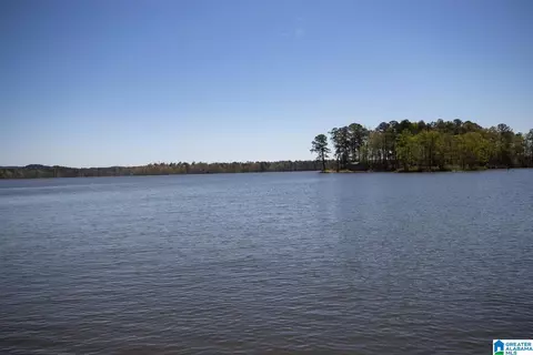 View/Area - 174 County Road 741, Clanton, AL 35046 photo 5 of 6