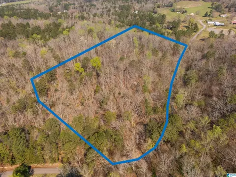 12 Acres Allison Ln #0, Piedmont, AL 36272