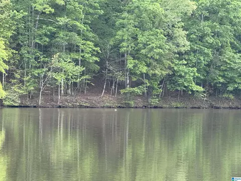 lot1 Old Highway 431 #1, Wedowee, AL 36278