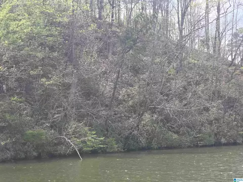 lot1 Eagle Mountain Rd #1, Rockford, AL 35136