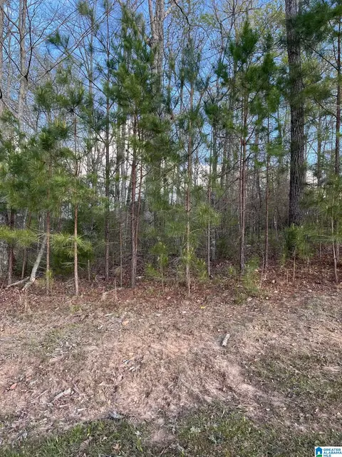 80 Preserve Way #72, Springville, AL 35146