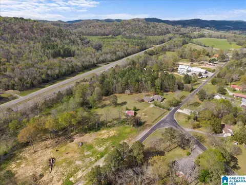 19865 Remlap Dr, Remlap, AL 35133 photo 52