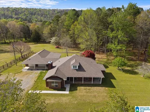 19865 Remlap Dr, Remlap, AL 35133 photo 42
