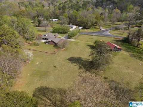 19865 Remlap Dr, Remlap, AL 35133 photo 49