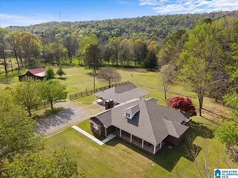 19865 Remlap Dr, Remlap, AL 35133 photo 43