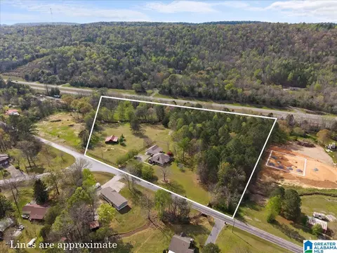 19865 Remlap Dr, Remlap, AL 35133 photo 50