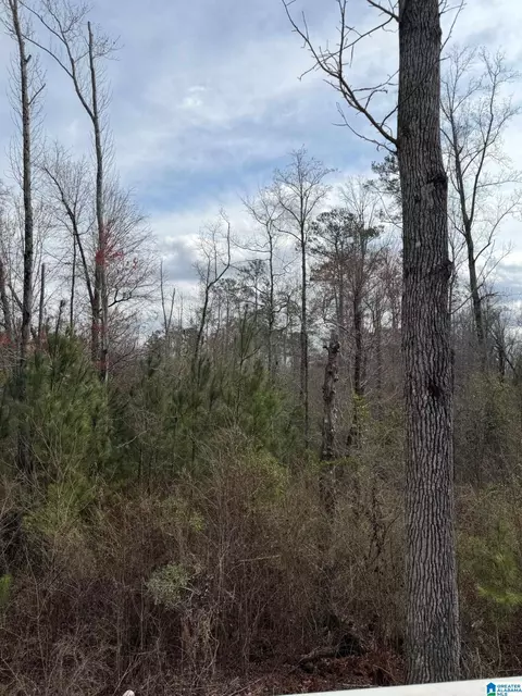 0 County Road 295 #0, Smiths Station, AL 36877
