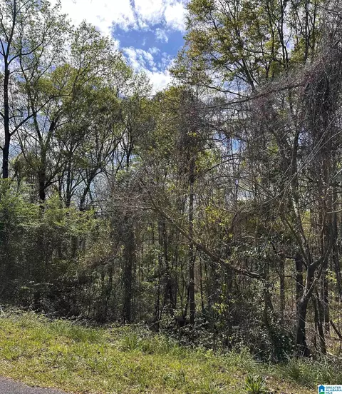 lot11 Wright Way Dr #11, Wedowee, AL 36278