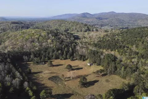 0 Stoneridge Trl S #49.95 AC, Anniston, AL 36207