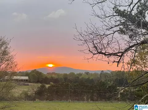 314 Talladega Creek Rd, Talladega, AL 35160