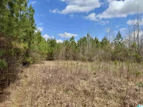 scroggins drive, Tallassee, AL 36078