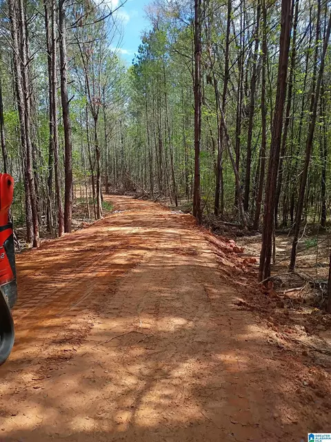 14 County Road 150 #14, Weogufka, AL 35151