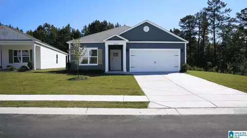 9890 Chelsea Park Trl, Chelsea, AL 35043