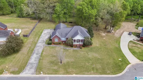 View/Area - 215 Buck Cir, Clanton, AL 35045 photo 3 of 4