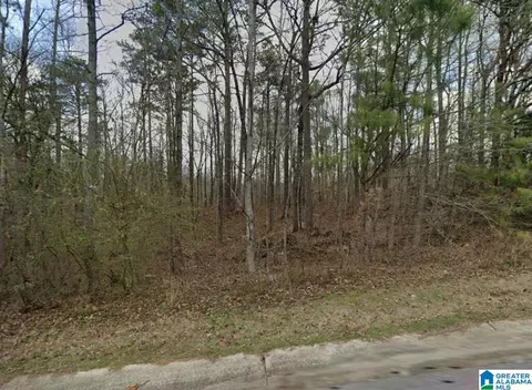 389 Shelby Springs Farms #46, Calera, AL 35040