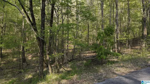 0 Country Rd #818819821, Warrior, AL 35180