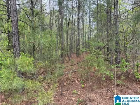 0 County Road 806 #0, Wedowee, AL 36278