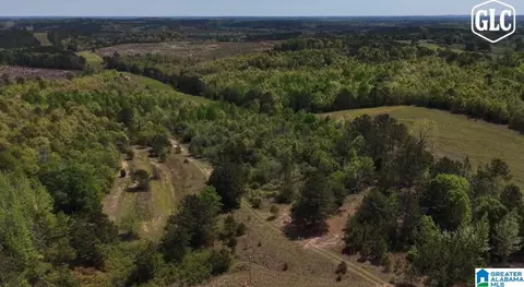 1600 County Road 125 #1, Billingsley, AL 36758