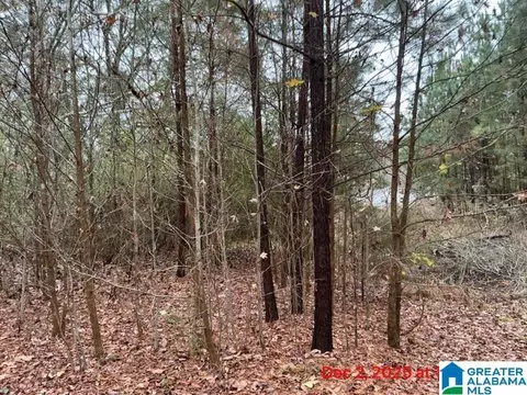 0 Grimes Rd #N/A, Indian Springs Village, AL 35124