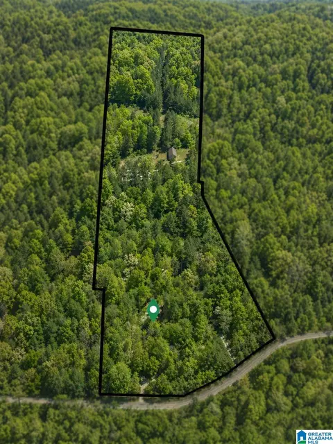 610 Southridge Ln, Talladega, AL 35160