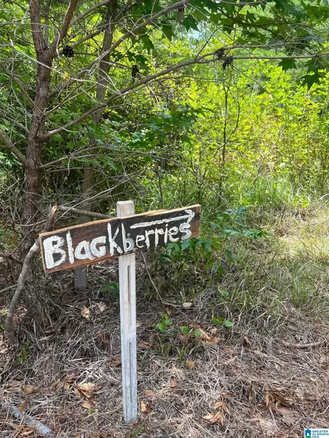 Other - 3564 Waters Rd, Clanton, AL 35046 photo 6 of 10