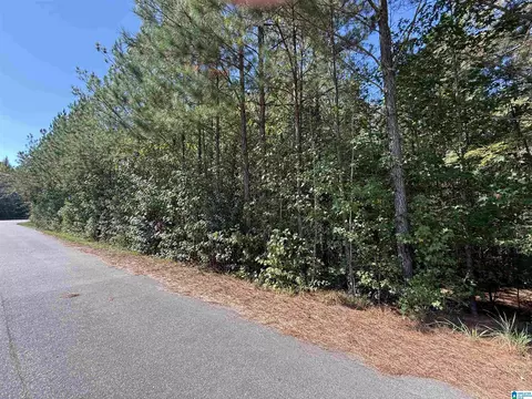 110 Fallview Way #TRACT 1 NEW SURVEY, Odenville, AL 35120