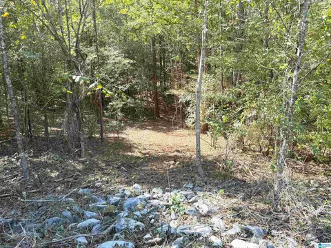 765 Fallview Ln #LOT S 79 & 80, Odenville, AL 35120