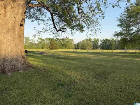 Exterior - 1625 County Road 49, Clanton, AL 35045 photo 3 of 7