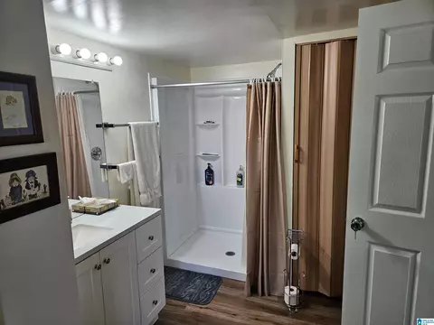 Bath - 559 Georgia Rd, Steele, AL 35987 photo 1 of 2