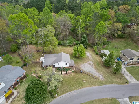1509 Maple Dr, Weaver, AL 36277 photo 39