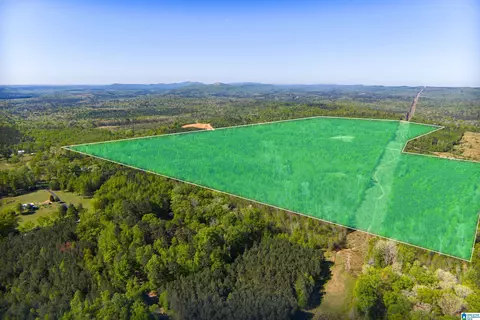 0 Shaw Rd #0, Pell City, AL 35128