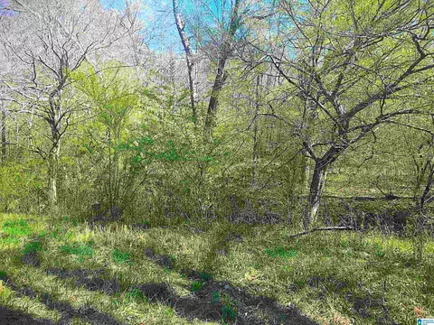 0 Fox Run #13, Oneonta, AL 35121