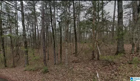 7410 Dewey Goodwin Rd #0, Pinson, AL 35126