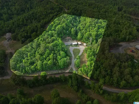 3151 Valley Ford Rd, Adger, AL 35006